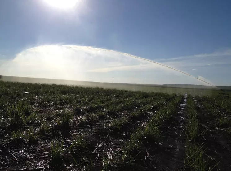 Feplana participa de oficialização da entidade da agricultura irrigada do Brasil